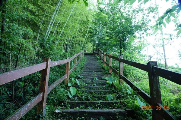 嘉義 竹崎 篤鼻山1731324