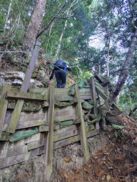 唐麻丹山 蝴蝶谷2918939