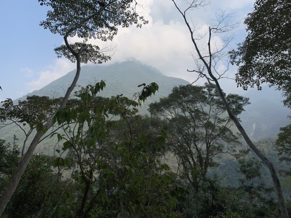 20251018台中八仙山2921450