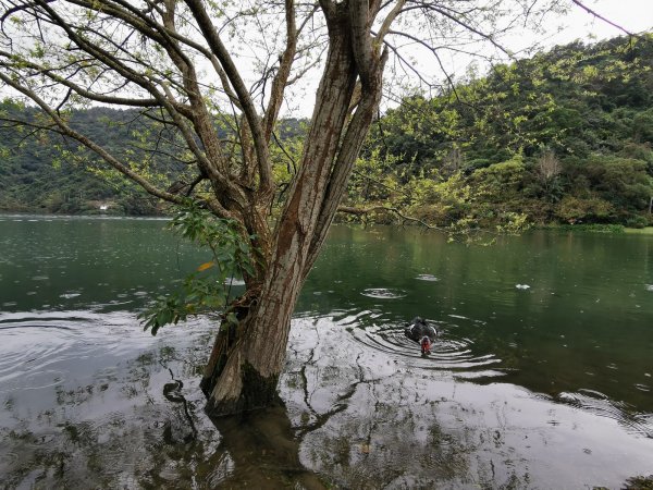 家鄉的必訪步道：冬山河親水公園、梅花湖、宜蘭中央公園 - 2022/2/11668252