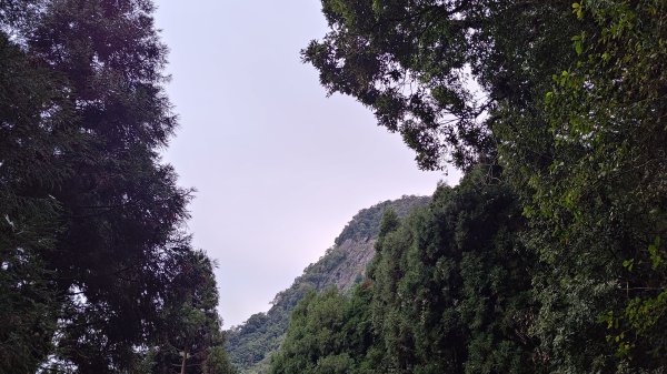 溪頭鳳凰山2387485