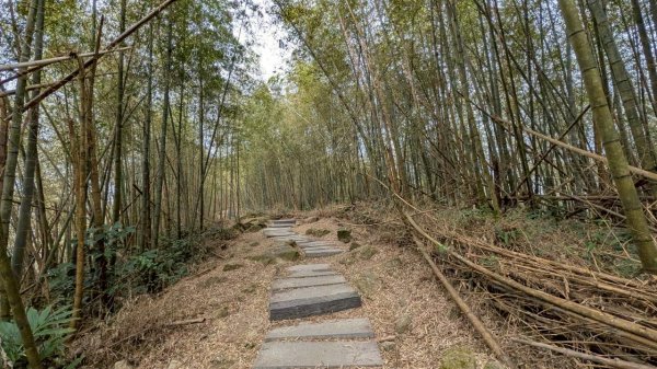 雲嘉五連峰 (大尖山、二尖山、馬鞍山、梨子腳山、太平山)2991079