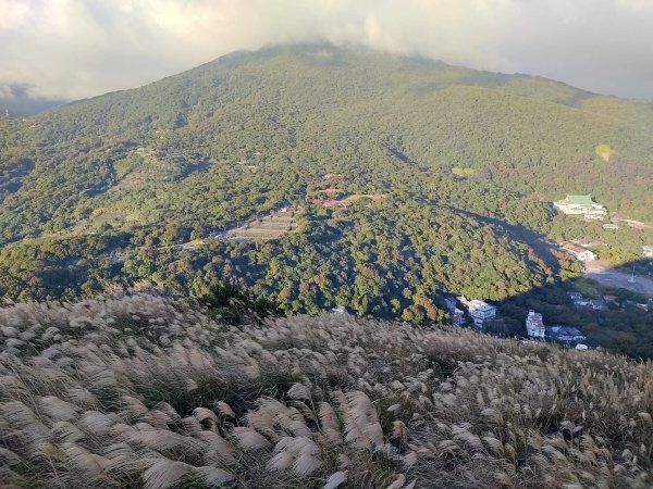1121121紗帽山3098584