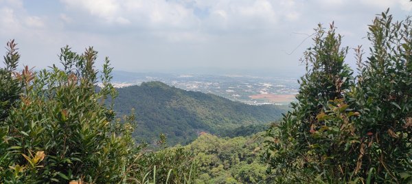 頭嵙山、聚興山3123086