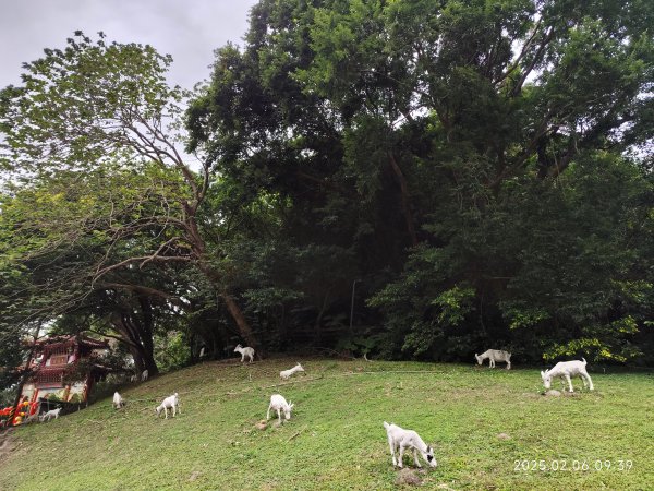芝山岩文化史蹟巡禮2707744