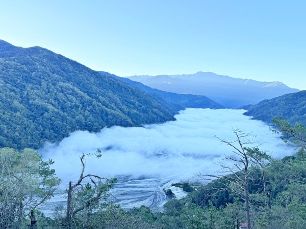 南投仁愛鄉基石巡禮-櫻櫻峰東北峰.清境山.岬山.關頭山北峰  2024.11.112651661