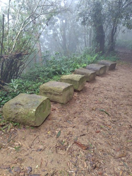 苗栗關刀山2975089