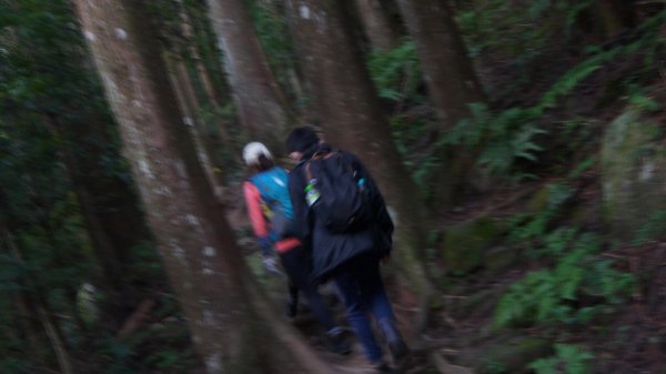 加里山登山健行趣(小百岳42)1527238