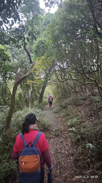 2025-1221 情人湖-石山-老鷹岩-大武崙砲台-外木山國旗嶺-濱海步道-海興步道-情人湖2966837