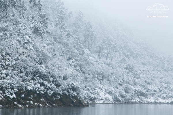 【攝野紀】夢幻般的雪中松蘿湖264529