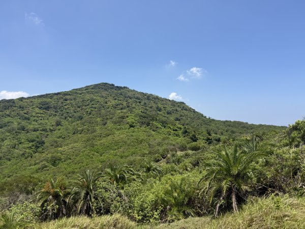 78赤牛嶺大山母山3083579