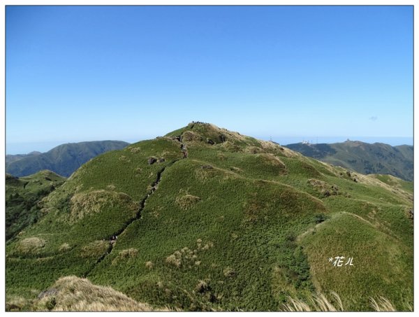 七星山連峰/芒花738760