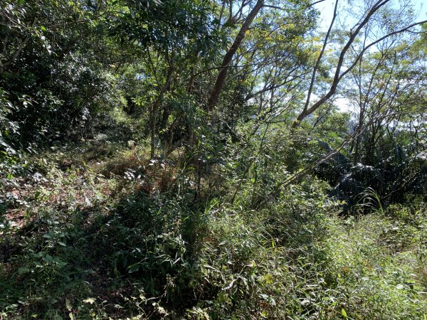 20250130屏東北湖呂山-古華山2705901