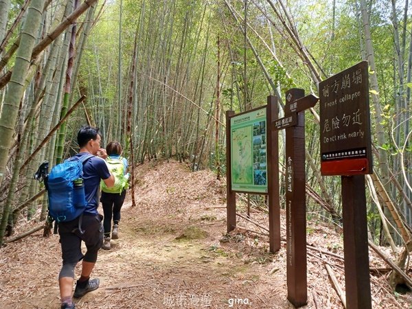 【嘉義梅山】雲霧裊裊似仙境。 瑞太古道 x大風埕觀日峰x油車寮步道2557808