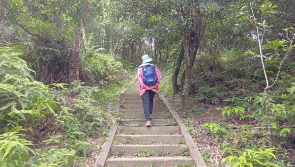 (姨婆趴趴走)第五十五集:攀登健走台北大崙頭尾山親山步道環狀一圈2853767