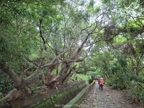 《台中》水圳視野｜烏日知高圳及雪蓮登山步道上學田山202606133074175