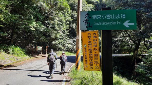 《台中》迷霧巨木為伴｜走訪大雪山船型山202109041454159