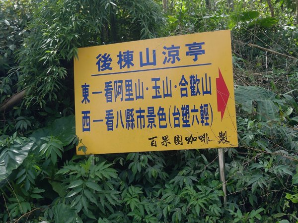 華山4-2號步道上雲嘉連峰2579351