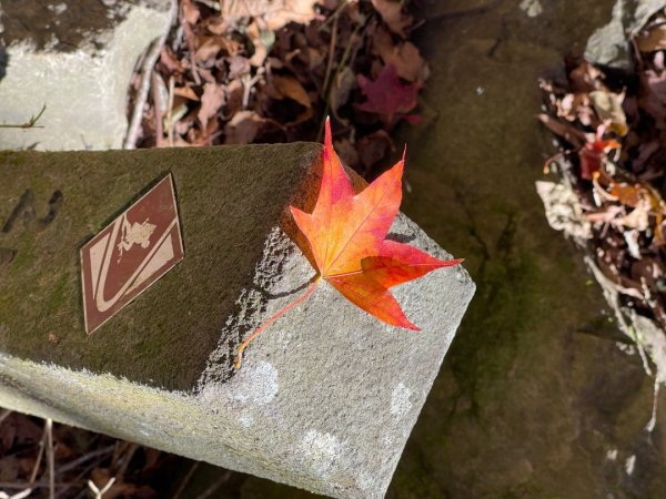 20241221 霞喀羅二天一夜露營賞楓2711938