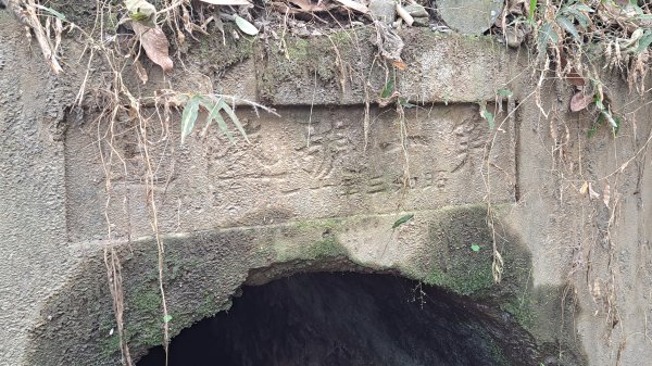 20250101八通關日治越道線(東埔-乙女瀑布)2684485