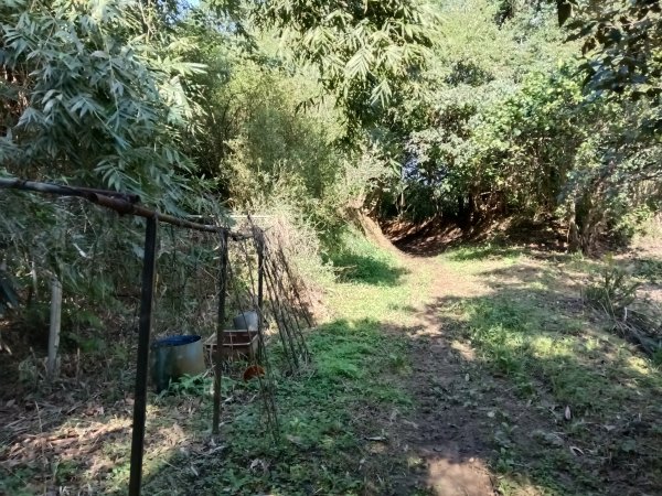 汐止區北港山+拱北殿楓情O型2976016