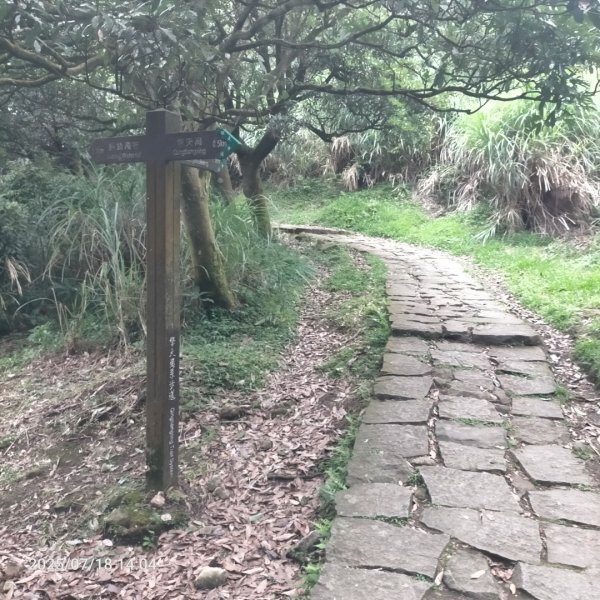 绢絲瀑布步道2840516