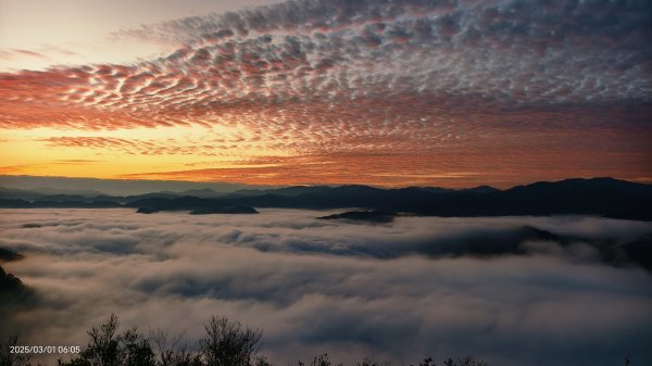 翡翠水庫壩頂 #曙光 #日出 #火燒雲 #斜射光(上帝光) #雲海 3/12722437