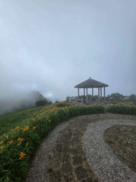 太麻里金針山2872611