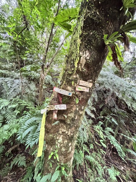 二格山、南邦寮山2941694