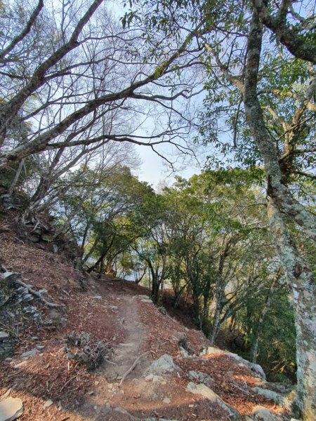 【丹大林道】卡社山&拉夫郞山西北峰1310515