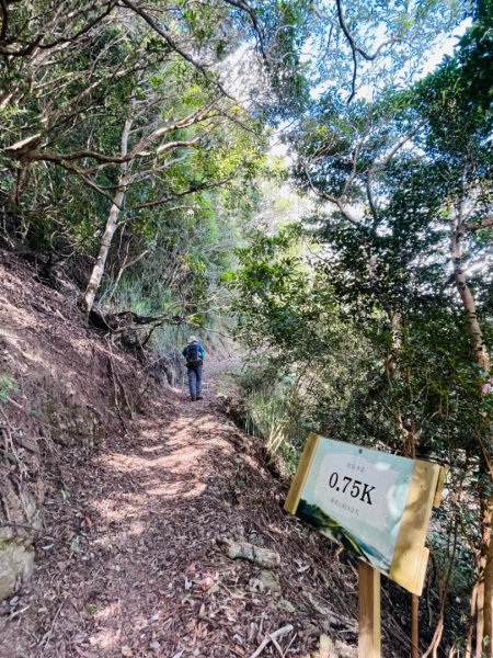 1140824司馬庫斯觀霸步道-賞楓步道2871104