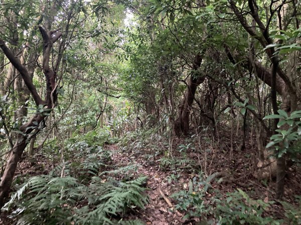 土庫岳2527800
