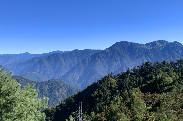 台中和平｜大雪山國家森林遊樂區｜小神木一點也不小．遠眺群山雲海大景1574362