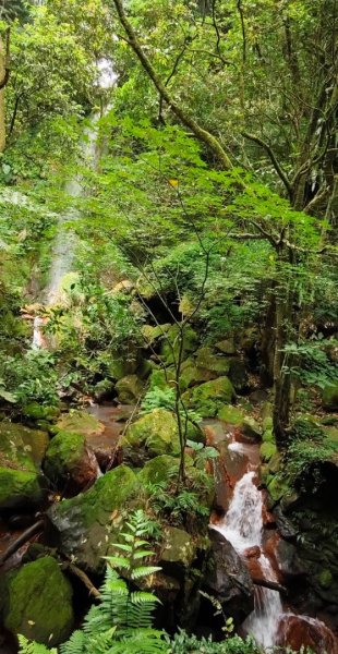 尋訪四國八十八番 石佛（藥師釋迦如來）觀音山石佛-弘法大師-水濂洞山-林安泰古宅2814391