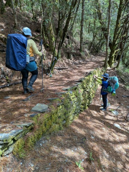卯木山_小完美谷_畢祿山3045013