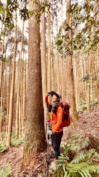 11/24(日)鳶嘴西稜線2653120