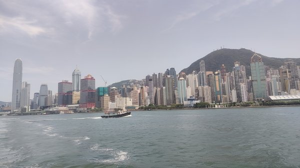 香港長洲鳥2504630