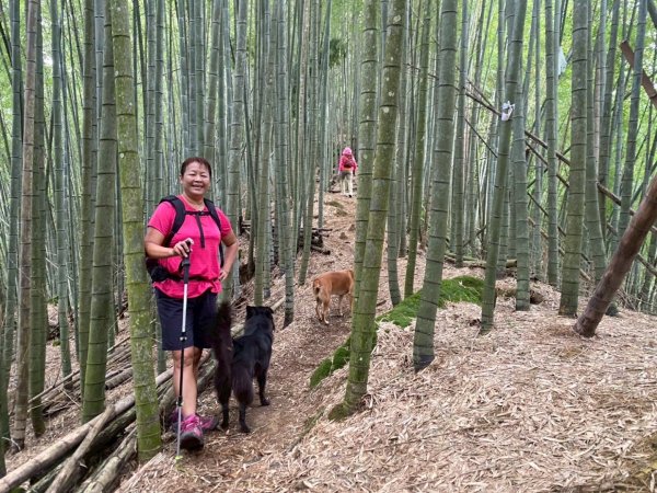 溪頭山、竹崙山、志騰山、妖怪村2877909