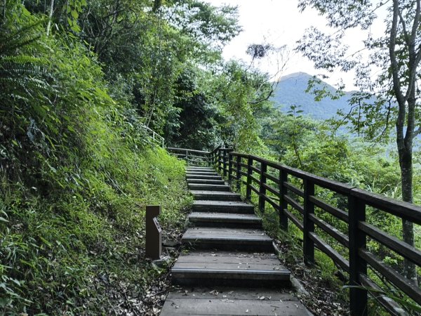 [玉山尋寶任務-07/12] 2025_0824 八通關雲龍瀑布步道2870403