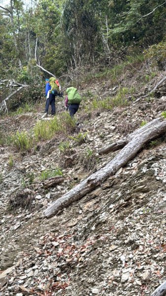 六龜警備線南段（藤枝-茂林）2天1夜2758273