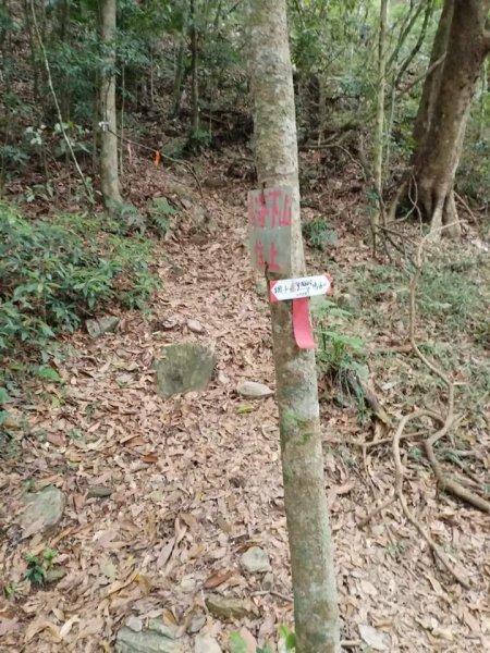 鳴海山-美雅上水泥車道,已修到7.6K.2562135