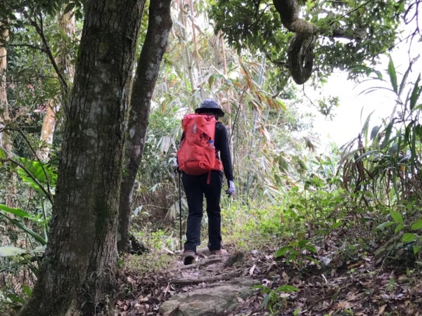 梅峰古道上竹子尖山264351