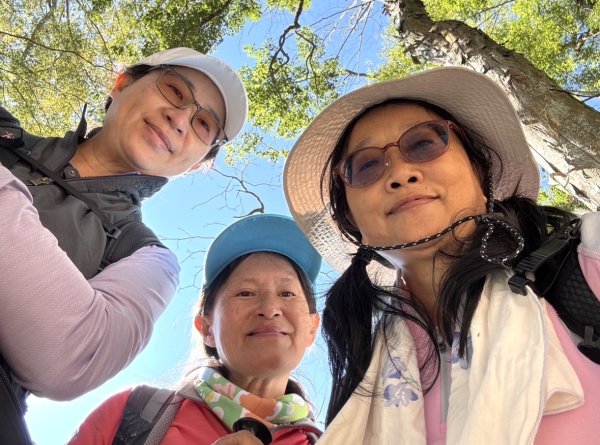 雪山坑登山步道尋巨人2978491