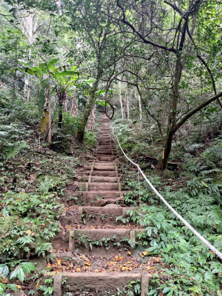 【新竹縣北埔鄉】五指山步道2833638
