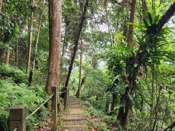 五指山橫向登山步道×猴洞步道一線天3060555