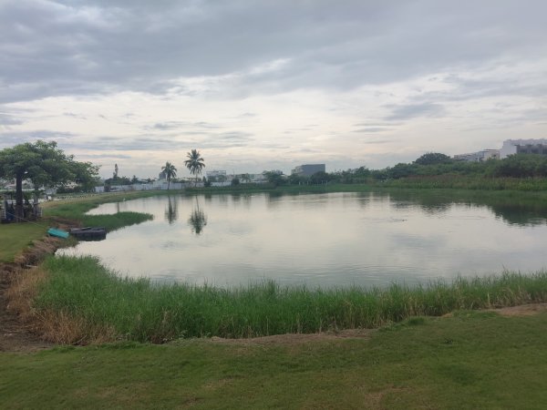 山海圳【內海之路：第一段】台江國家公園3090715