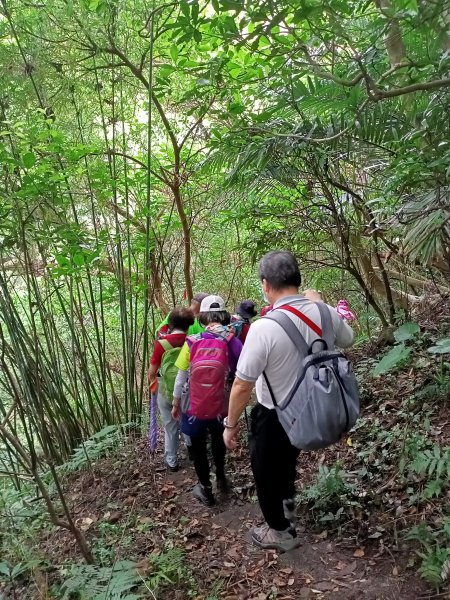 《暢遊天母翠峰瀑布、天母古道、下竹林山、玉稠湖山主峰&南峰》1445590