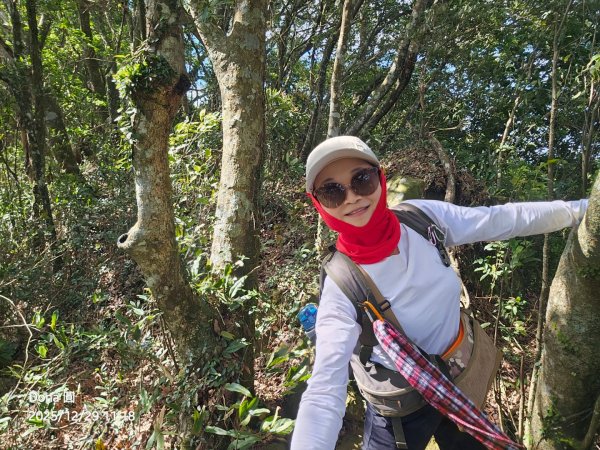 20251229石龜坑山上白石山下白石埤O走+阿姆坪2976682