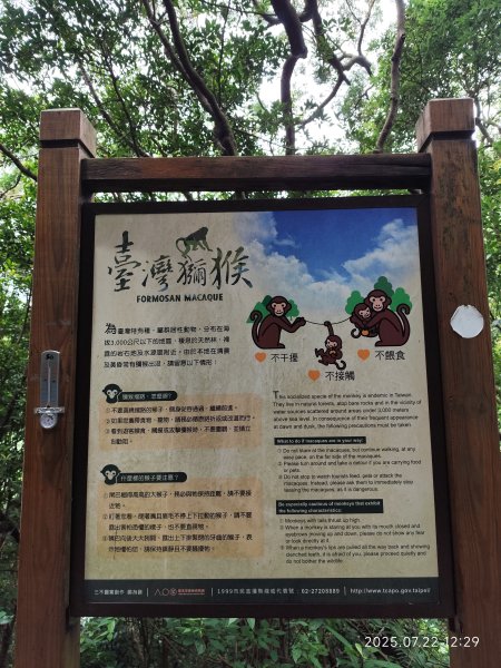 天母古道、西門町、艋舺青山宮、剝皮寮、龍山寺2844590