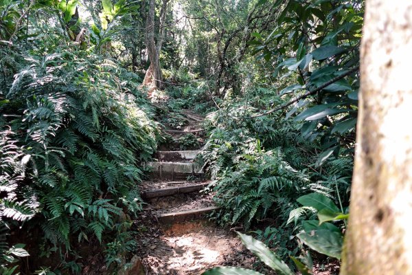 溪洲山小百岳｜福山巖登山步道2898903